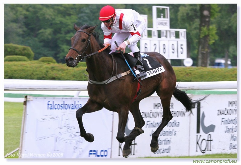 Bratislava - 04. júna 2006 