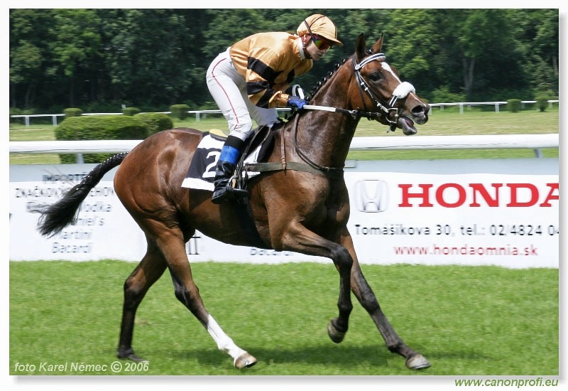 Bratislava - 25. júna 2006 