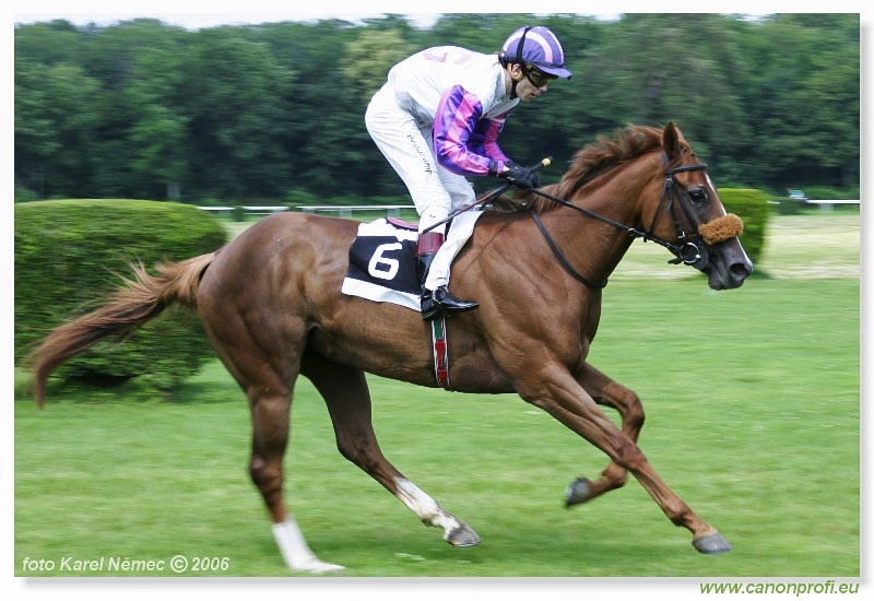 Bratislava - 25. júna 2006 