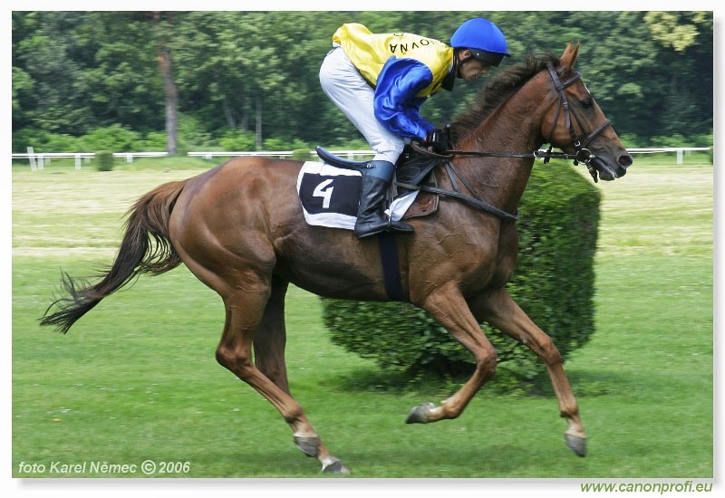 Bratislava - 25. júna 2006 
