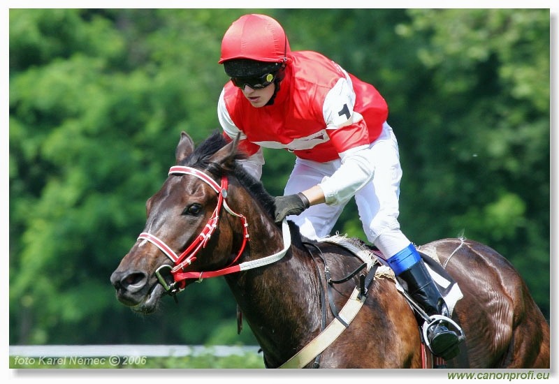 Bratislava - 25. júna 2006 