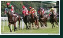 Derby – Trial