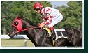 Derby – Trial