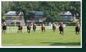 Derby – Trial
