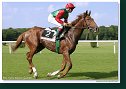 Derby – Trial