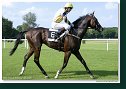 Derby – Trial