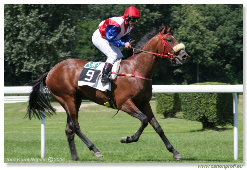 Bratislava - 16. júla 2006 