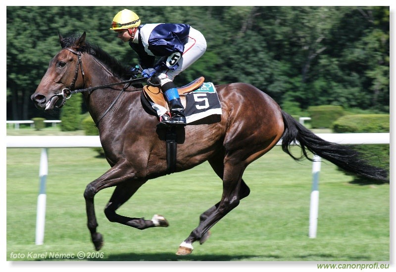 Bratislava - 16. júla 2006 