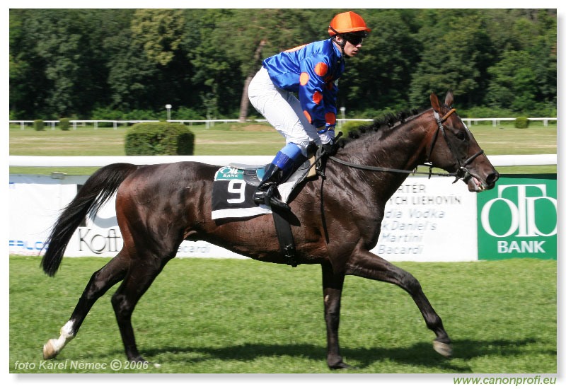 Bratislava - 16. júla 2006 