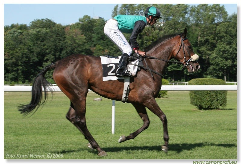 Bratislava - 16. júla 2006 