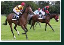 Handicap San Roque