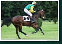 Veľká starohájska steeplechase
