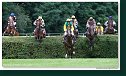 Veľká starohájska steeplechase