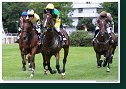 Veľká starohájska steeplechase