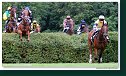 Veľká starohájska steeplechase