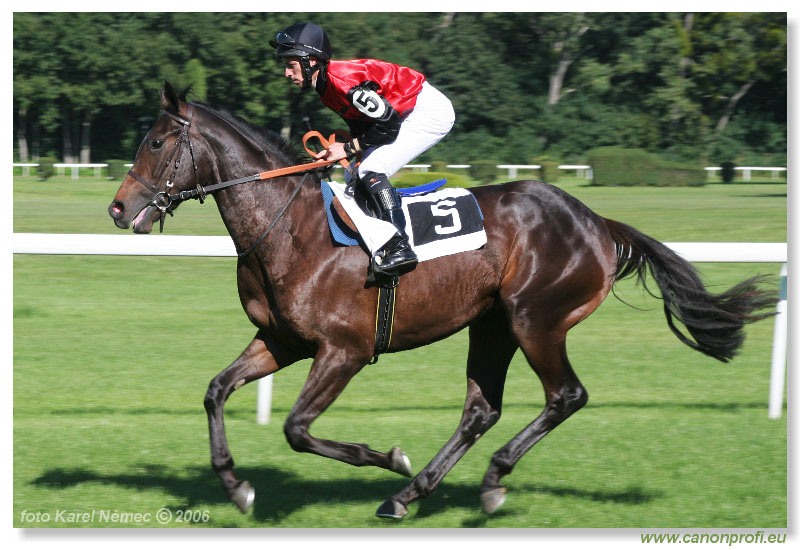 Bratislava - 10. septembra 2006 