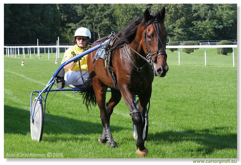 Bratislava - 24. septembra 2006 
