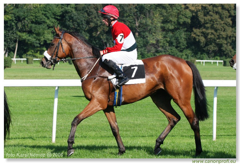 Bratislava - 24. septembra 2006 