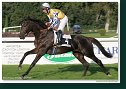 Saint Leger