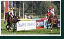 Saint Leger