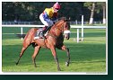 Saint Leger