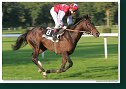 Saint Leger
