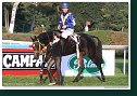 Memoriál Antona Tarabu