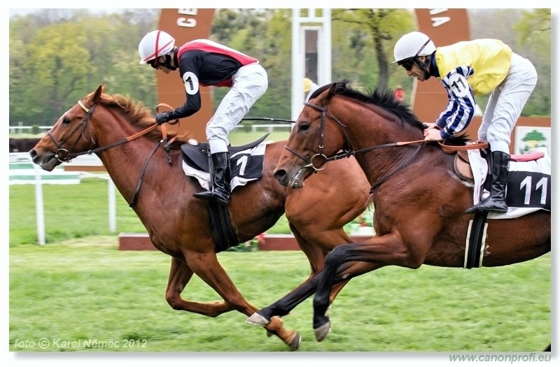 Bratislava - 15. aprla 2012
