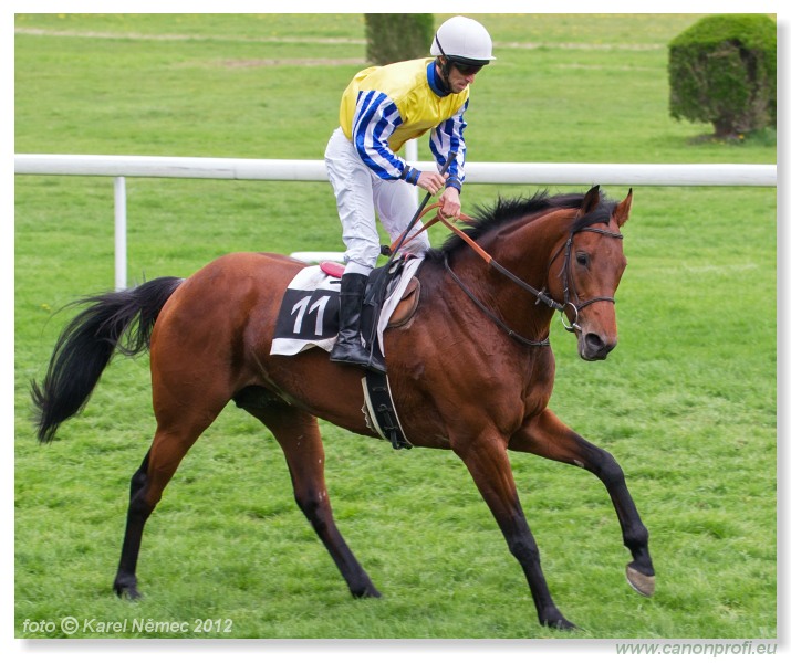 Bratislava - 15. aprla 2012
