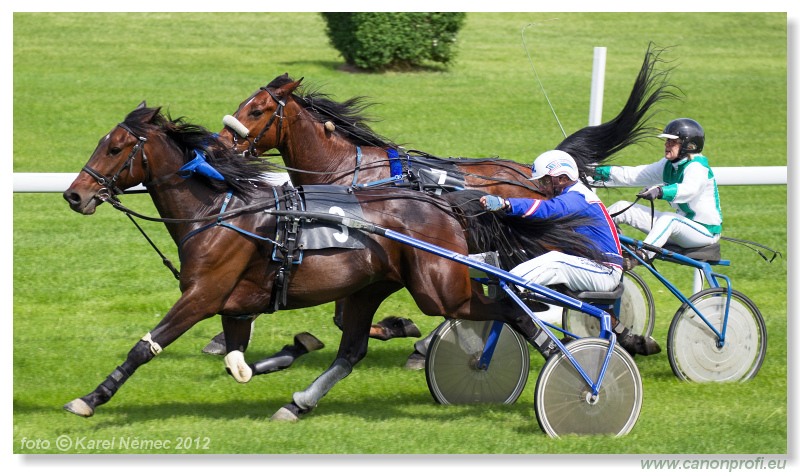 Bratislava - 13. mja 2012