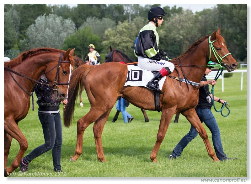 Bratislava - 13. mja 2012