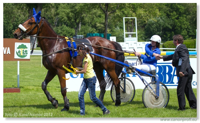 Bratislava - 20. mja 2012