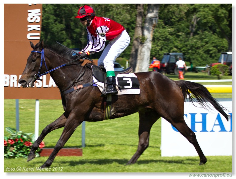Bratislava - 20. mja 2012