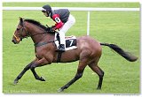 Cena Racing Post Yearling Bonus 