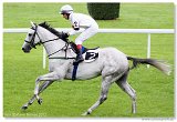 Cena Racing Post Yearling Bonus 