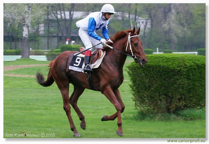 Bratislava - 17. apríla 2005