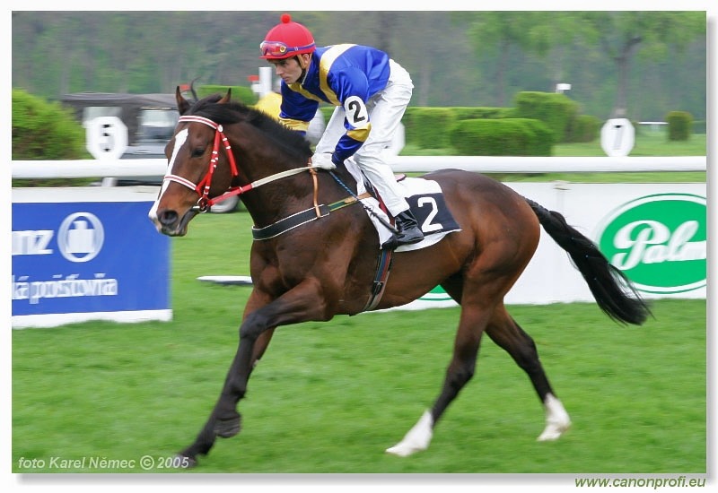 Bratislava - 17. apríla 2005