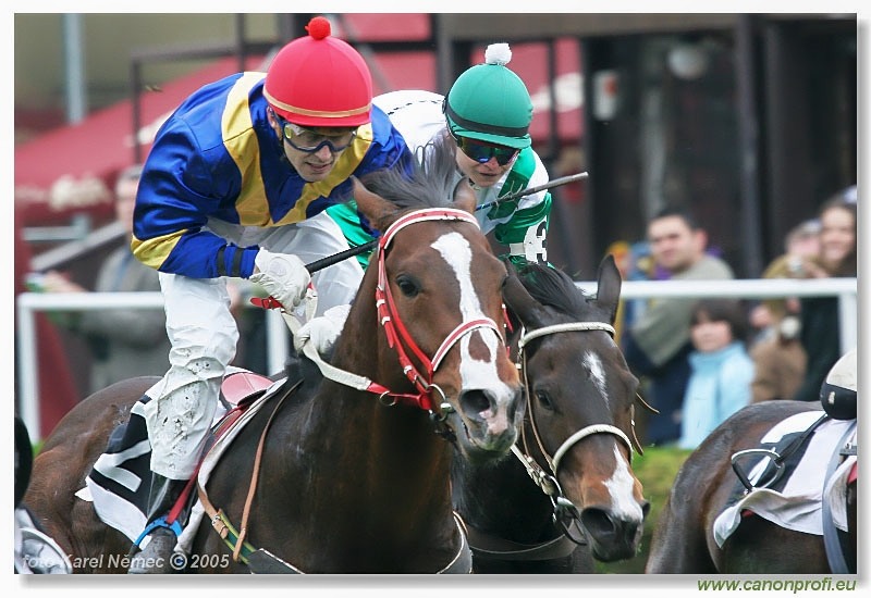Bratislava - 17. apríla 2005