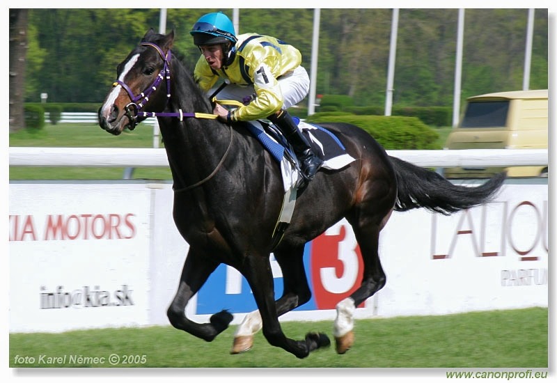 Bratislava - 24. apríla 2005