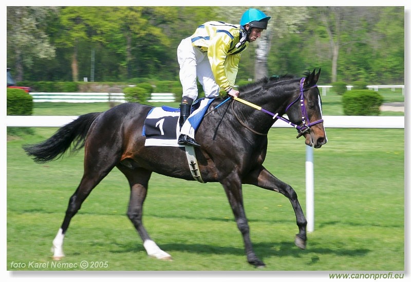 Bratislava - 24. apríla 2005