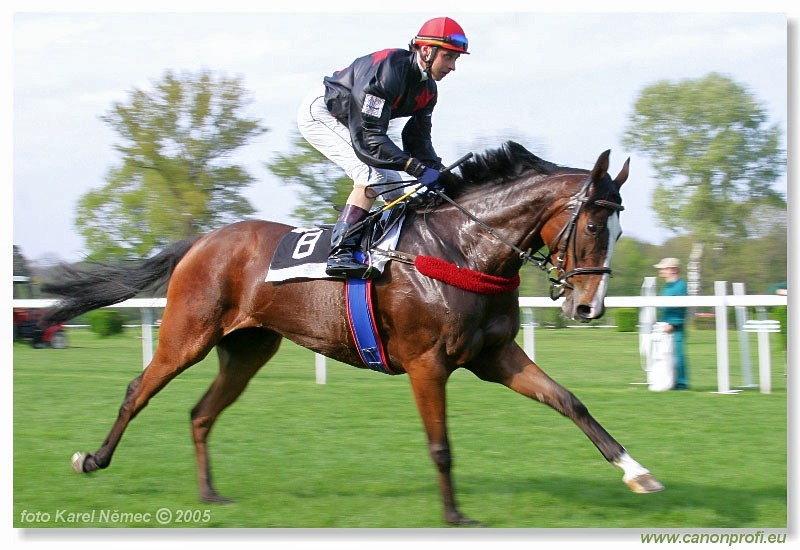 Bratislava - 24. apríla 2005