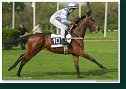 Handicap Vitalindy