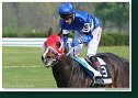 Handicap Vitalindy