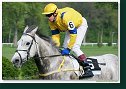 Handicap Vitalindy