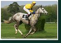 Handicap Vitalindy