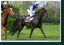 Handicap Vitalindy