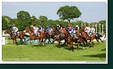Handicap Guarde Royale