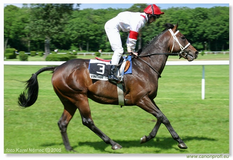 Bratislava - 5. júna 2005