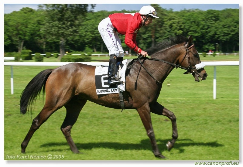Bratislava - 5. júna 2005