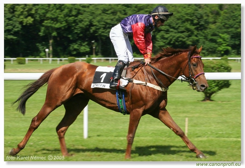 Bratislava - 5. júna 2005